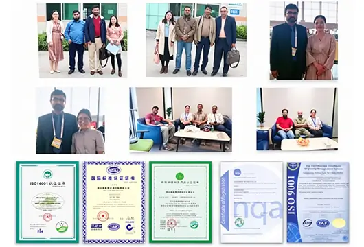 Professional-sales-team-support