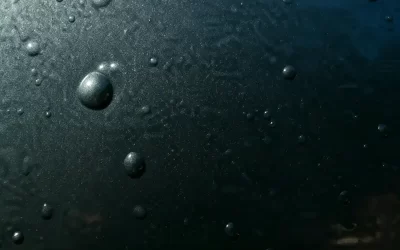 Osmotic Blistering in Automotive Paint: Causes, Prevention, and SYBON Solutions